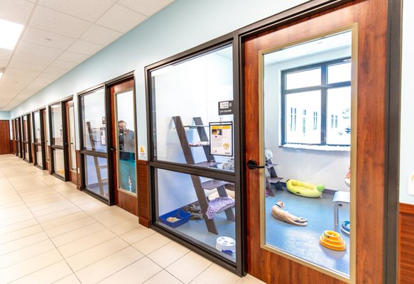 PEGGY ADAMS ANIMAL RESCUE LEAGUE - Updated August 2025 - 103 Photos