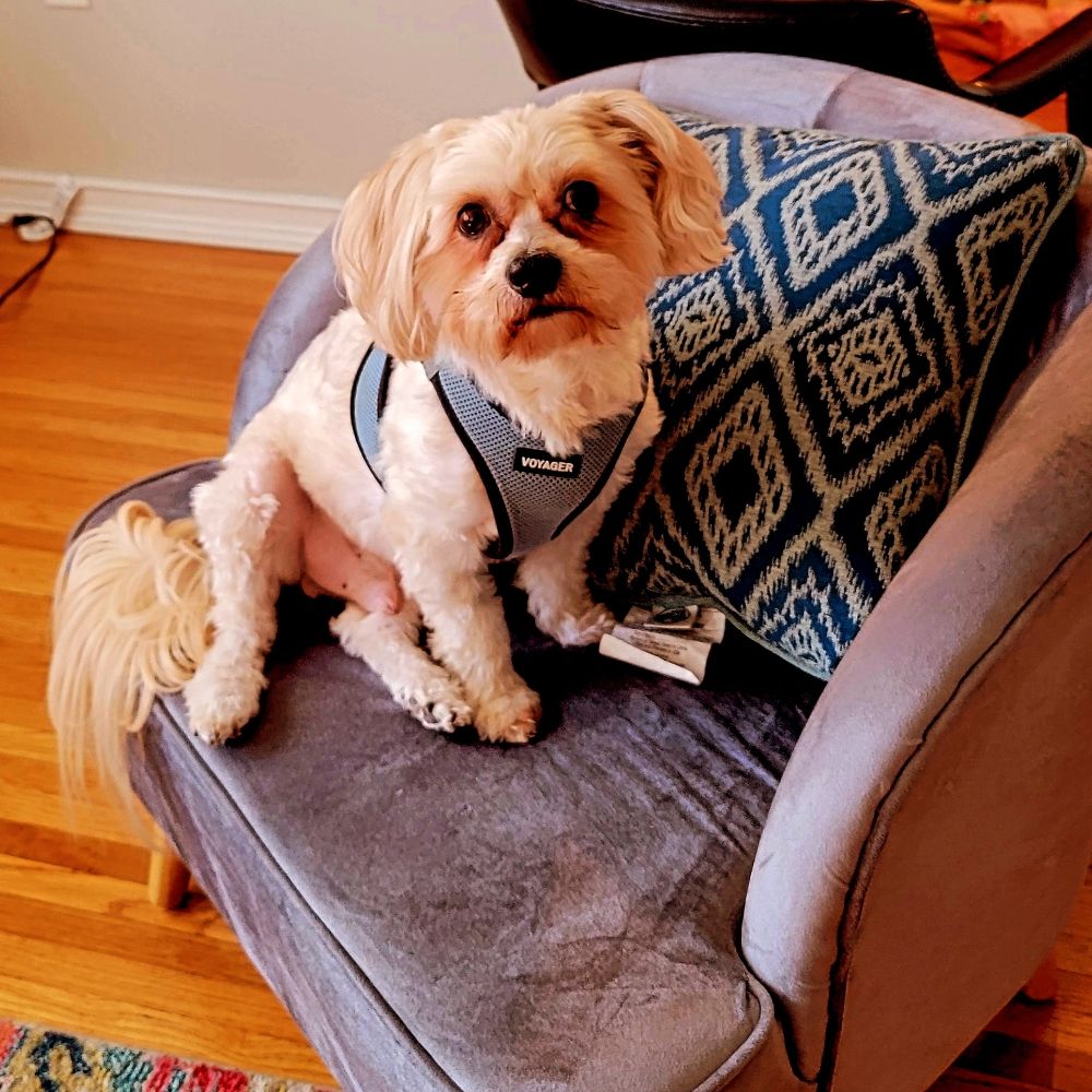 Heart to Heart Therapeutic Services - grief counselor in Greenville, SC