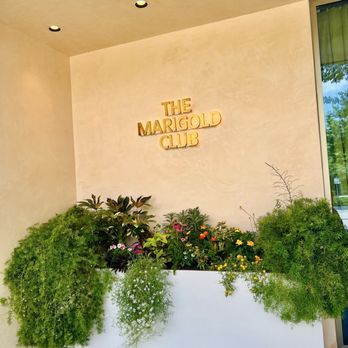 The Marigold Club - Front entrance - American Near Me - Houston, Texas The Marigold Club - Front entrance - American Near Me - Houston, Texas
