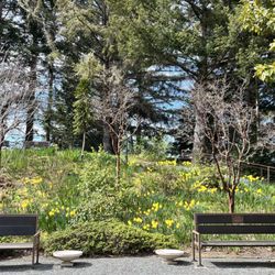 Humboldt Botanical Garden