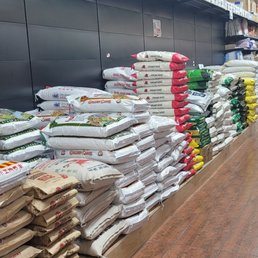 Rice and more rice Rice and more rice