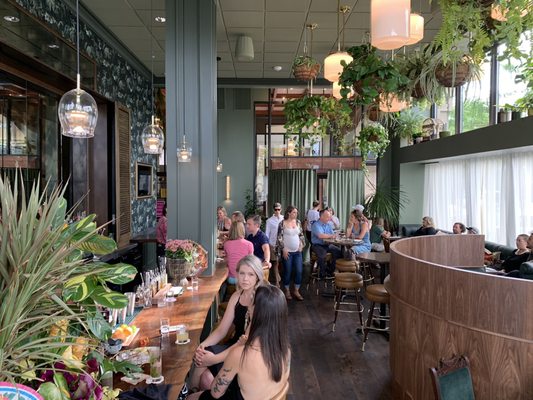 Water Bear Bar by null