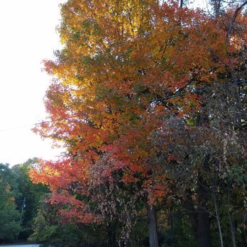 Silver Lake State Park - Fall foilage fam' drive. :-D - Lakes Near Me - Castile, New York Silver Lake State Park - Fall foilage fam' drive. :-D - Lakes Near Me - Castile, New York