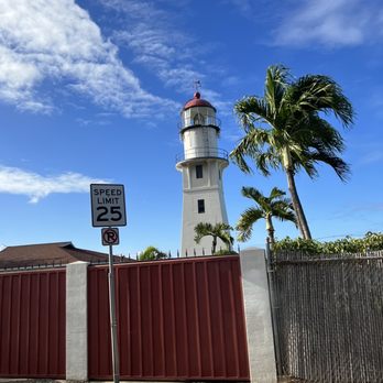 Hawaii Turtle Tours - Tours Near Me - Honolulu, Hawaii