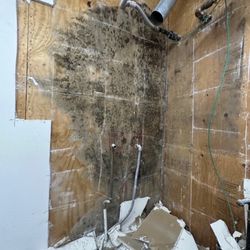 Magic Painting - Before