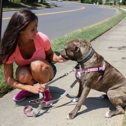 Jersey Shore Pet Care, LLC