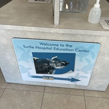 The Turtle Hospital - Veterinarians Near Me - Marathon, Florida