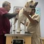 Photo of Miramar West Animal Hospital