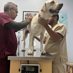 Miramar West Animal Hospital