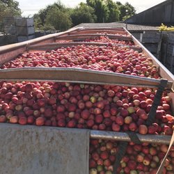 Pierce Mill Farm