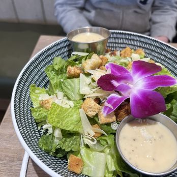 Sweet Cafe - Salad - Breakfast & Brunch Near Me - Chicago, Illinois