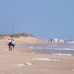 Chincoteague National Wildlife Refuge
