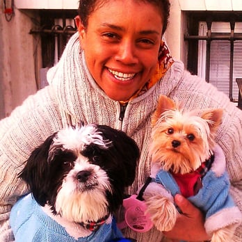 NYC Paws Authority - Sage and Sasha with their professional walker of choice, NYC Paws Authority - Dog Walkers Near Me - Brooklyn, New York NYC Paws Authority - Sage and Sasha with their professional walker of choice, NYC Paws Authority - Dog Walkers Near Me - Brooklyn, New York