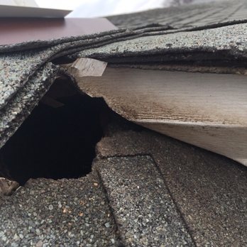 A Bighead Pest Control - A squirrel chewed a hole on roof line - Pest Control Near Me - Belleville, New Jersey