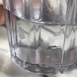 moldy cup moldy cup