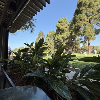 The Penmar - view from our table - American Near Me - Venice, California