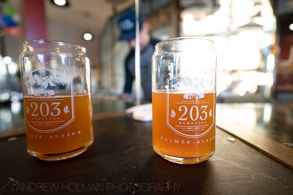 203 Kombucha Logo