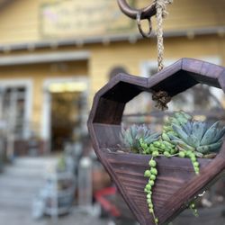 Dragonfly Shops and Gardens