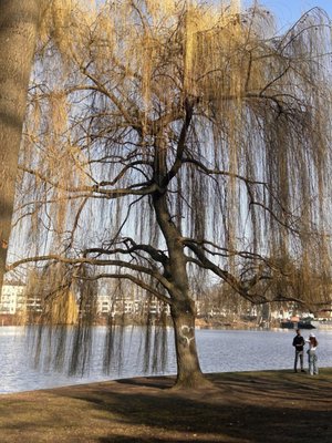 Treptower Park by null