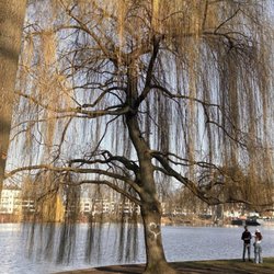 Treptower Park - Treptower Park 3/2025