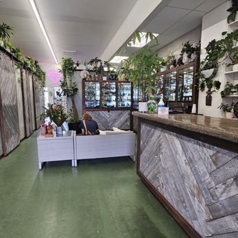 Apogee Body Piercing - Beautiful, good vibes space - Piercing Near Me - San Diego, California Apogee Body Piercing - Beautiful, good vibes space - Piercing Near Me - San Diego, California