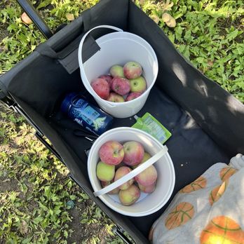 Garden Sweet Farm - CSA Near Me - Fort Collins, Colorado