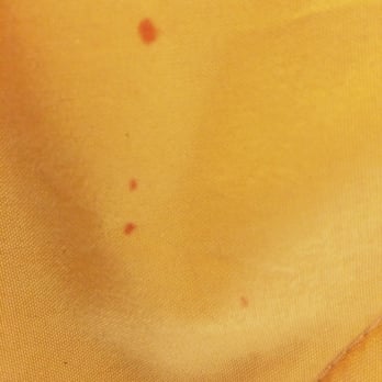 Motel 6 - Ever wonder if they actually wash the quilt? Apparently not. Here are some blood stains that prove otherwise. - Hotels Near Me - Boise, Idaho Motel 6 - Ever wonder if they actually wash the quilt? Apparently not. Here are some blood stains that prove otherwise. - Hotels Near Me - Boise, Idaho