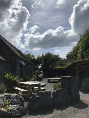 Aillwee Burren Experience by null