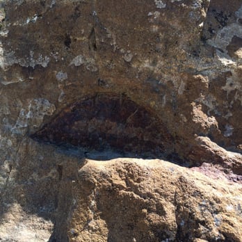 Dinosaur Ridge - Museums Near Me - Morrison, Colorado