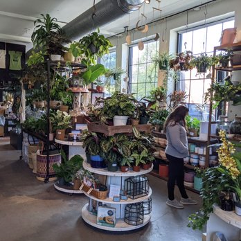 Flora & Forage - Florists Near Me - Asheville, North Carolina Flora & Forage - Florists Near Me - Asheville, North Carolina
