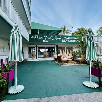 palm tree club miami dress code Palm Tree Club Miami Outfit