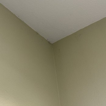 Pink Sponge Maids - Spider webs! So obvious! How can the cleaning person not seeing this?! - Home Cleaning Near Me - Glendora, California Pink Sponge Maids - Spider webs! So obvious! How can the cleaning person not seeing this?! - Home Cleaning Near Me - Glendora, California