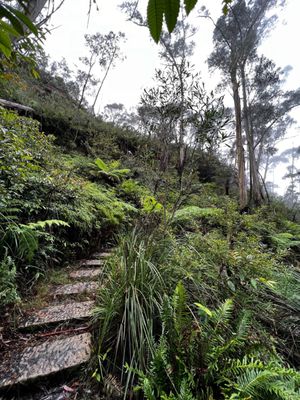 Blue Mountains National Park by null