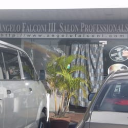 Angelo Falconi III Salon