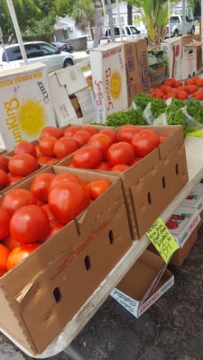 Gulfport Tuesday Fresh Market by null