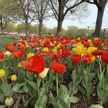 Myriad Botanical Gardens - Botanical Gardens Near Me - Oklahoma City, Oklahoma