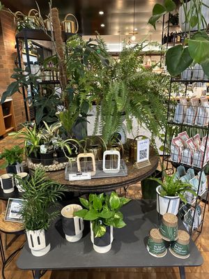 Mr West Cafe Bar by null