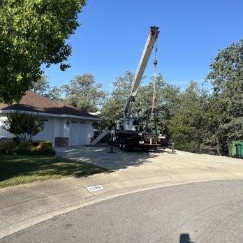 Redding Tree Service - Tree Services Near Me - Redding, California