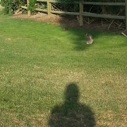 There were cute little bunnies hopping all over the course :)