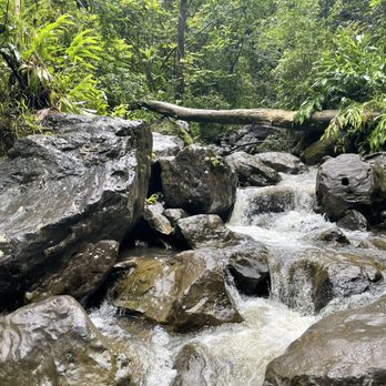 Pipiwai Trail - Hiking Near Me - Hana,, Hawaii