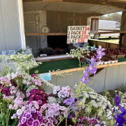 Xiong Family Farms