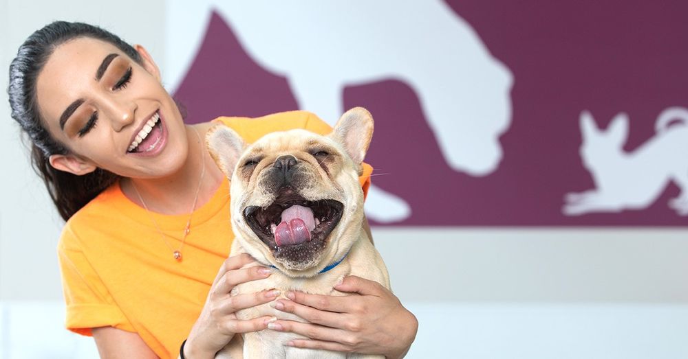 WAG HOTELS O’HARE Updated September 2024 28 Photos & 21 Reviews