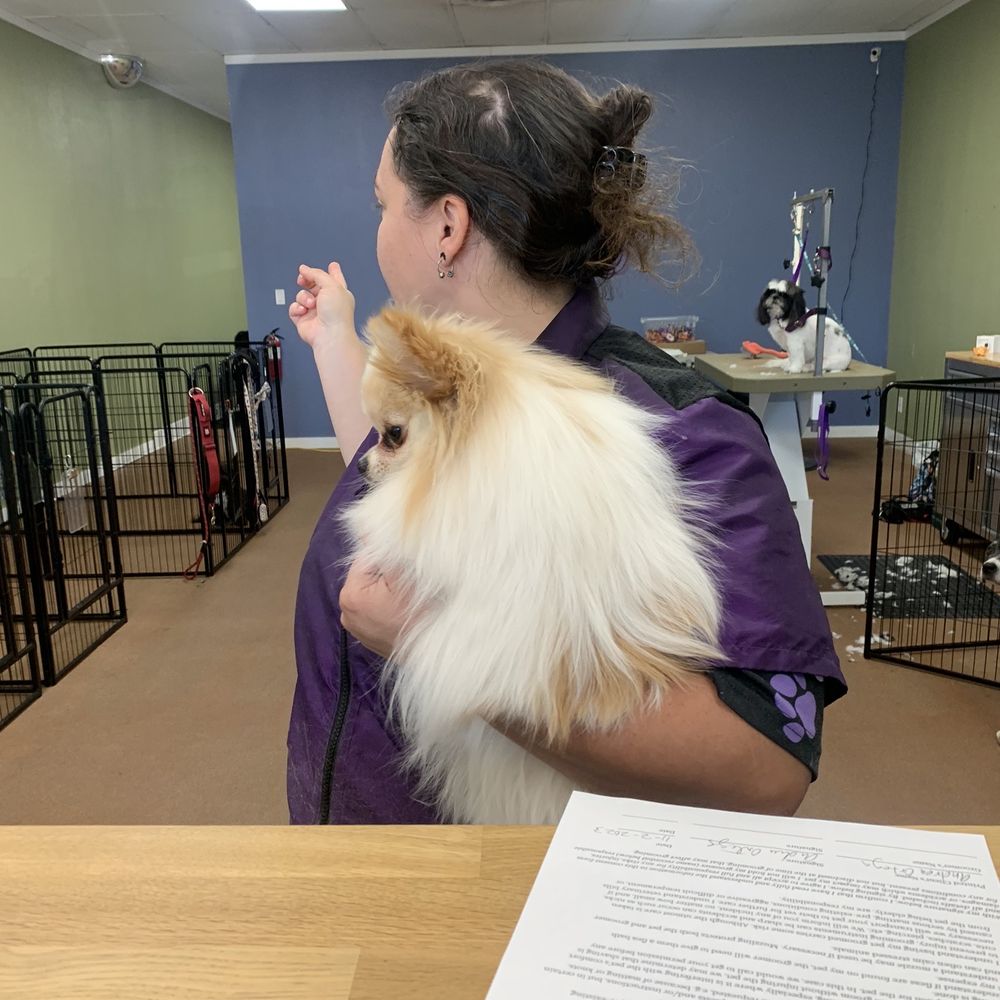 Bark Side Pet Grooming - When i dropped her off! CocoLavita! - Pet Groomers Near Me - Long Beach, California