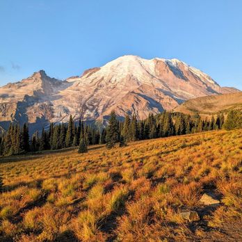 Sourdough Ridge Trail - Instagram: @telephonesmoothie - Hiking Near Me - Ashford, Washington Sourdough Ridge Trail - Instagram: @telephonesmoothie - Hiking Near Me - Ashford, Washington