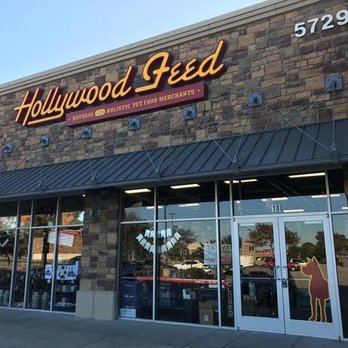 nearest hollywood feed