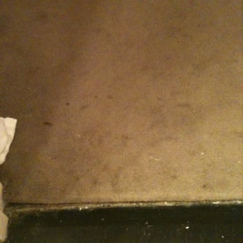 State Plaza Hotel - Gross rug! - Hotels Near Me - Washington, DC, District of Columbia