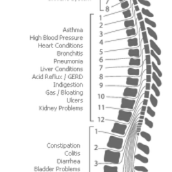 Profection Physical Therapy