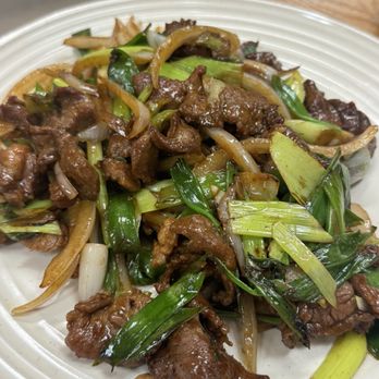 Green Dragon BBQ Restaurant - E3.Stir-Fried Lamb w.Scallion - Chinese Near Me - New Milford, New Jersey