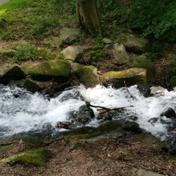 Schloß und Landschaftspark Altenstein - Park