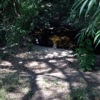Hidden Hollow - By the stream. - Parks Near Me - Salt Lake City, Utah